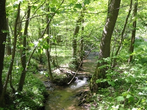 Landschaft am Weg der Selbstzuwendung