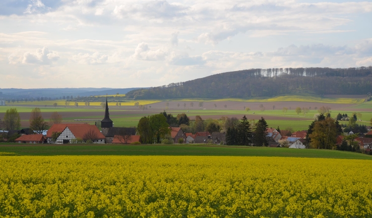 Boerry Im Fruehling