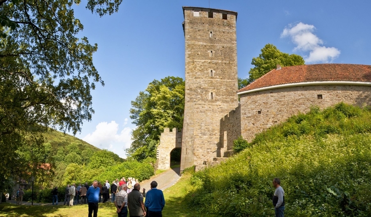 Burg Schaumburg