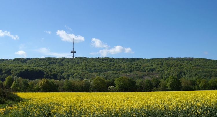 Fernsehturm Raps