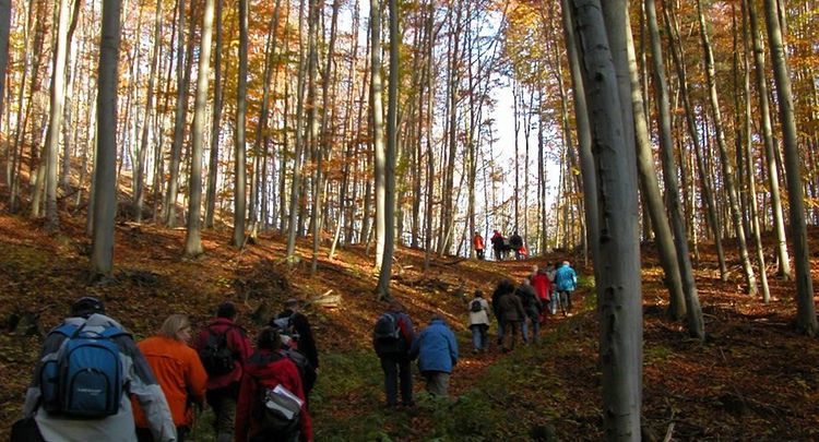 Mit Leib Und Seele Auf Dem Weg