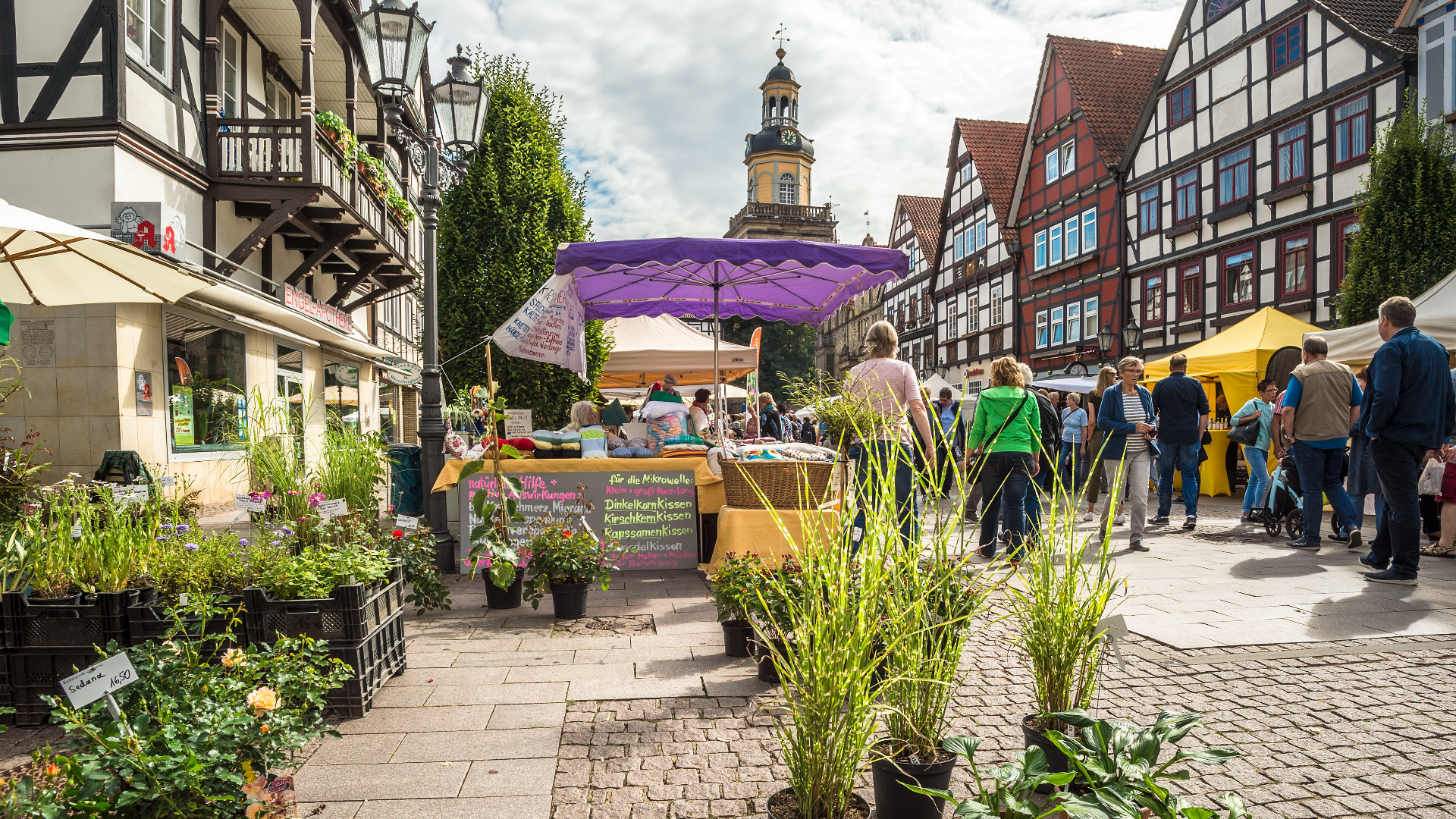 Bauernmarkt Rinteln Pflanzenverkauf