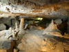 Märchenwald in der Schillat-Höhle