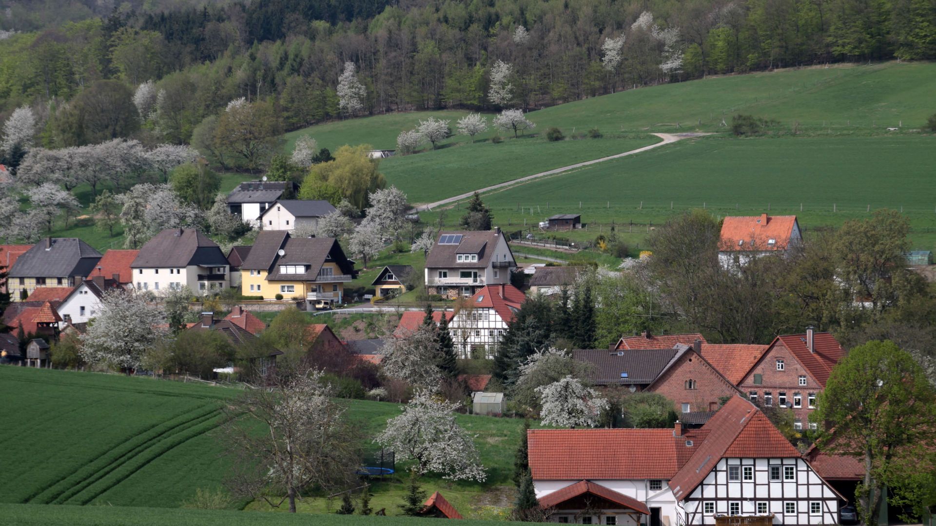 Blick auf die Häuser in Gellersen, Aerzen