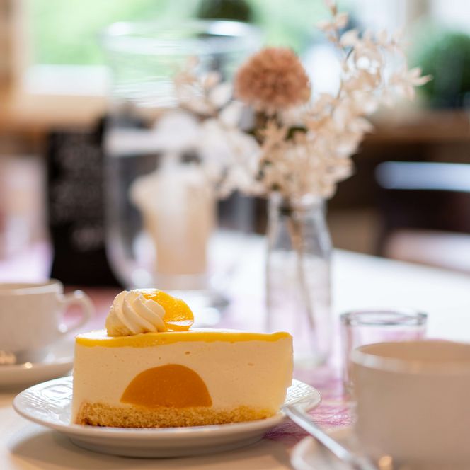 Schillat's Café - Kaffeegedeck mit Stück Kuchen und Tassen am Tisch, Hessisch Oldendorf