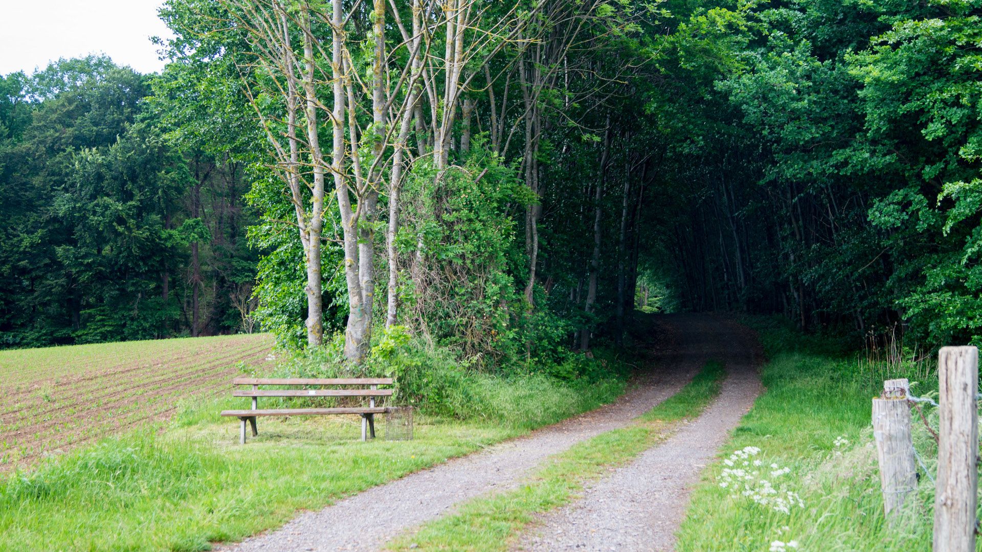 Etappe5 - Feldweg in Richtung Ziel, Rinteln