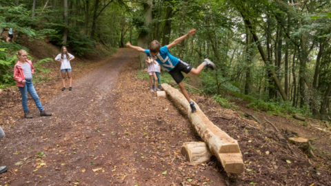 Lernen und Erleben auf dem Wald-Abenteuer-Pfad Station 7 Gleichgewicht