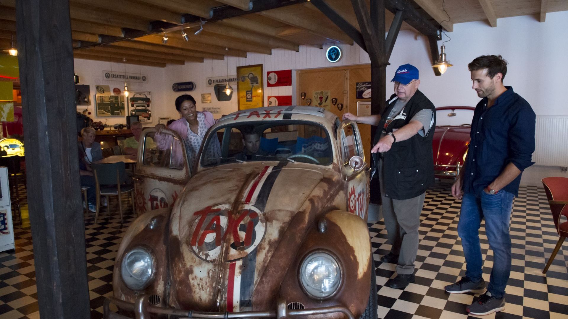 Grundmann Käfer Sammlung