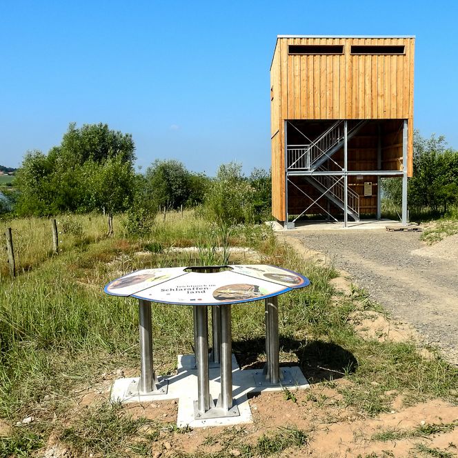 Auenlandschaft Hohenrode - Aussichtsturm und Mitmachstation, Rinteln