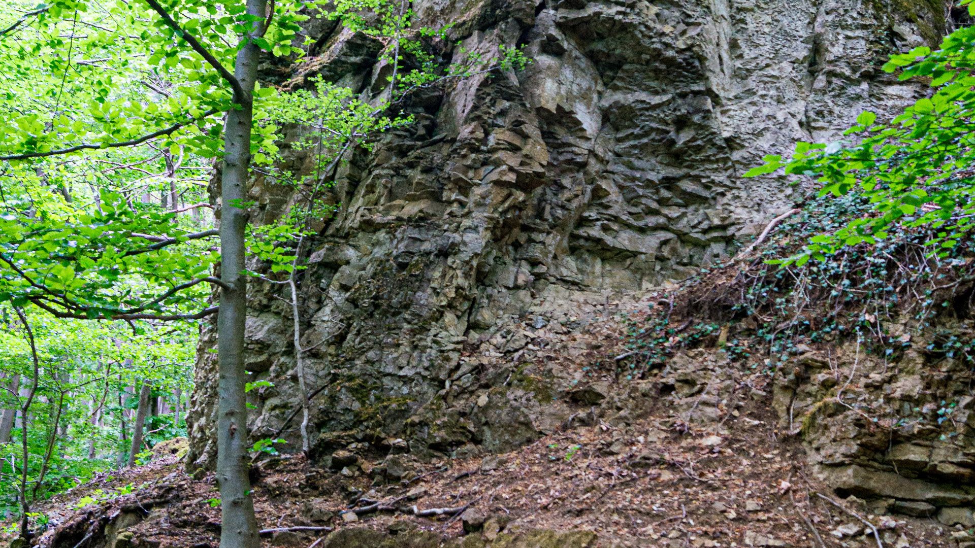 Etappe4 - Gestein im Wald, Hessisch Oldendorf