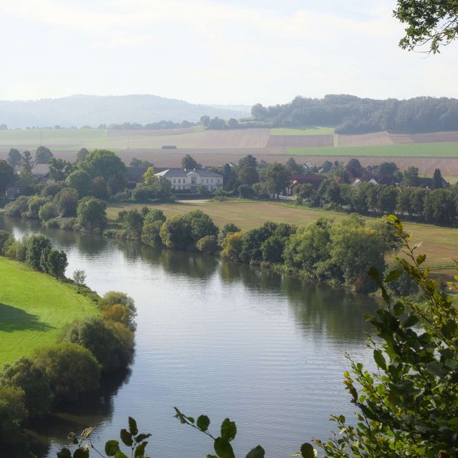 Weserlauf in Emmerthal, rechts und links Bäume und Wiesen