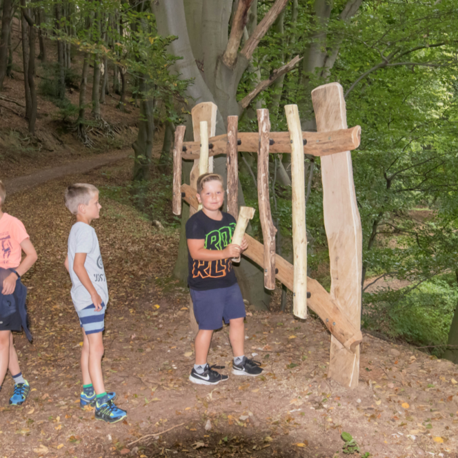 Lernen und Erleben auf dem Wald-Abenteuer-Pfad Station 9 Waldmusik
