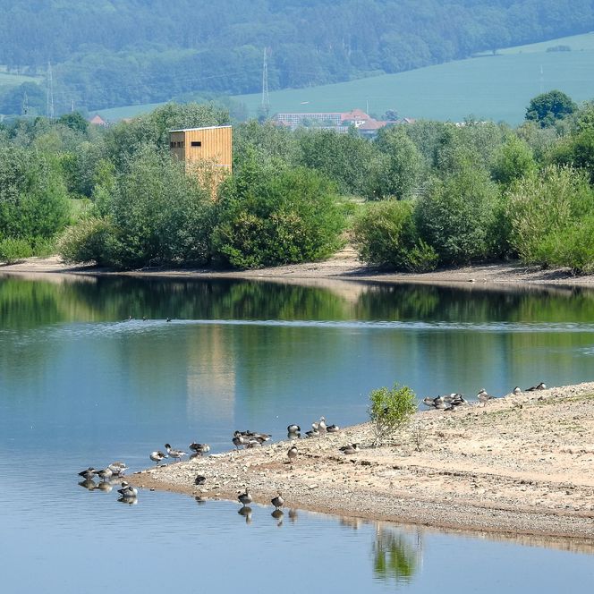 Auenlandschaft Hohenrode mit Blick auf den Aussichtsturm, Rinteln