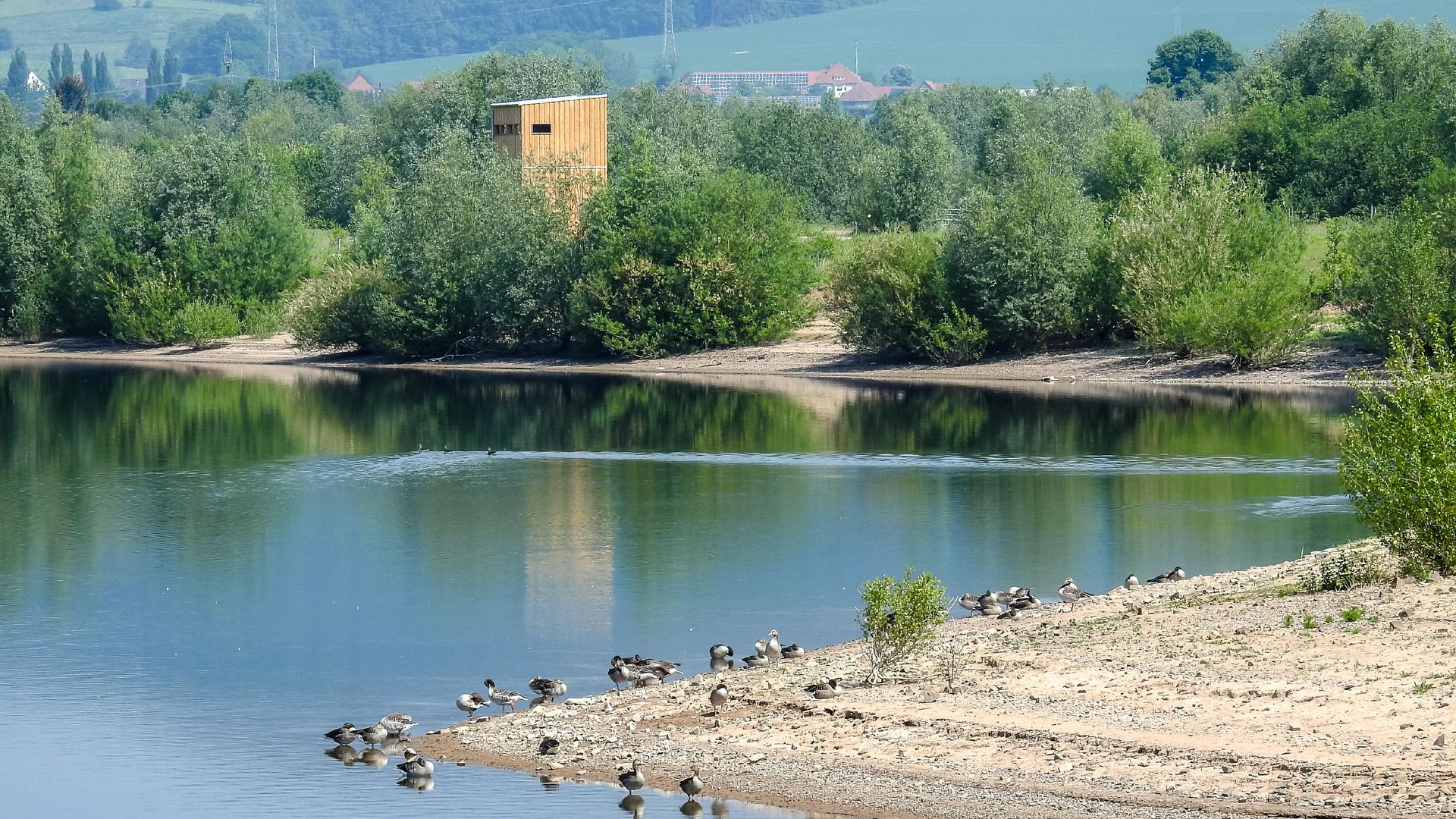 Auenlandschaft Hohenrode mit Blick auf den Aussichtsturm, Rinteln
