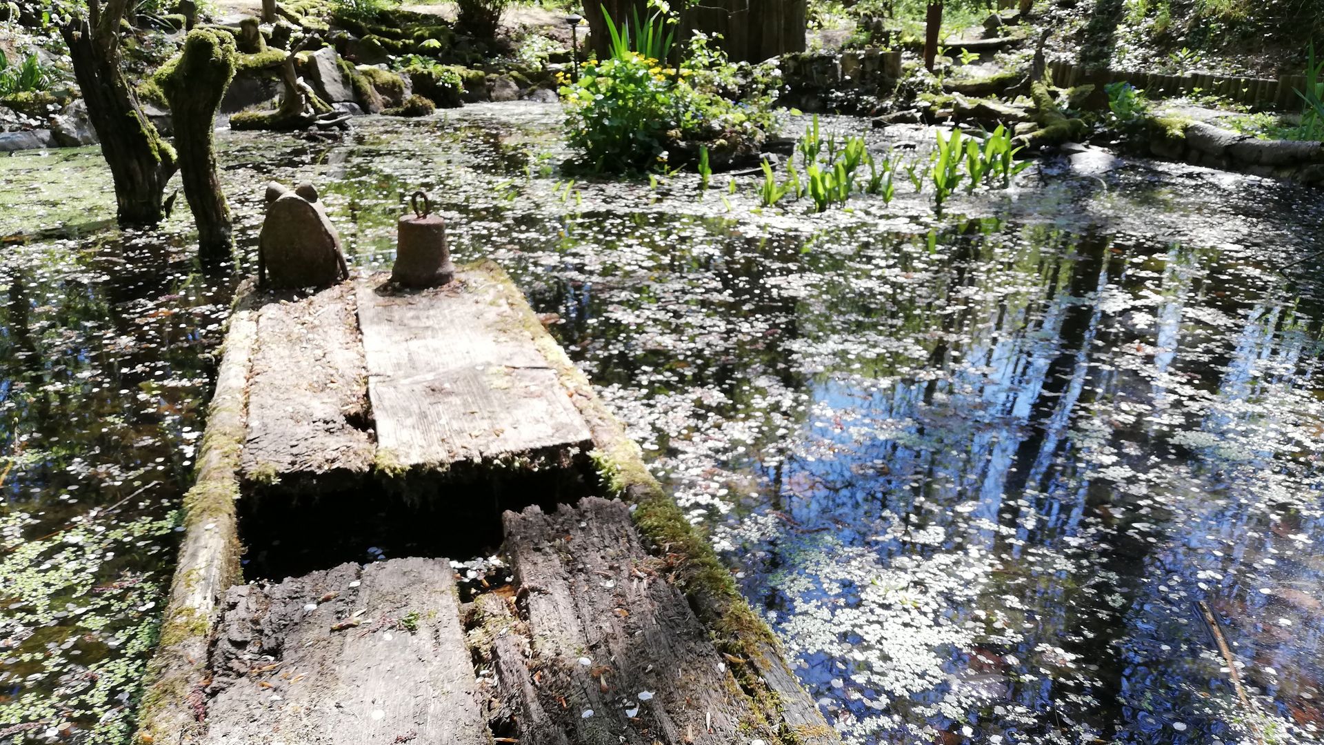 Hansaweg - Teich, Aerzen