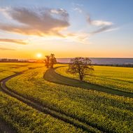 Felder im Sonnenuntergang, Auetal