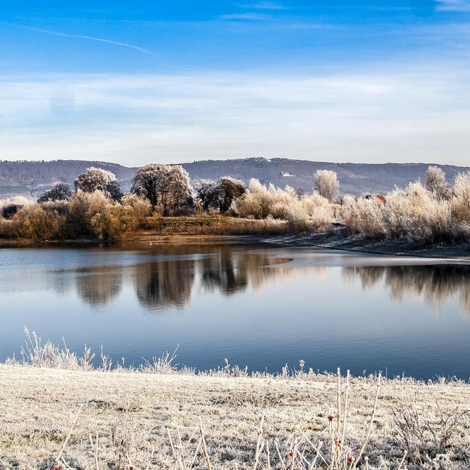 Auenlandschaft Hohenrode im Winter, Rinteln