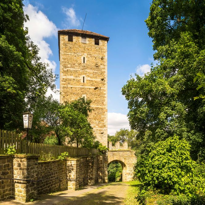 Schaumburg - Georgsturm, recht und links Bäume, gepflasterter Weg, Rinteln