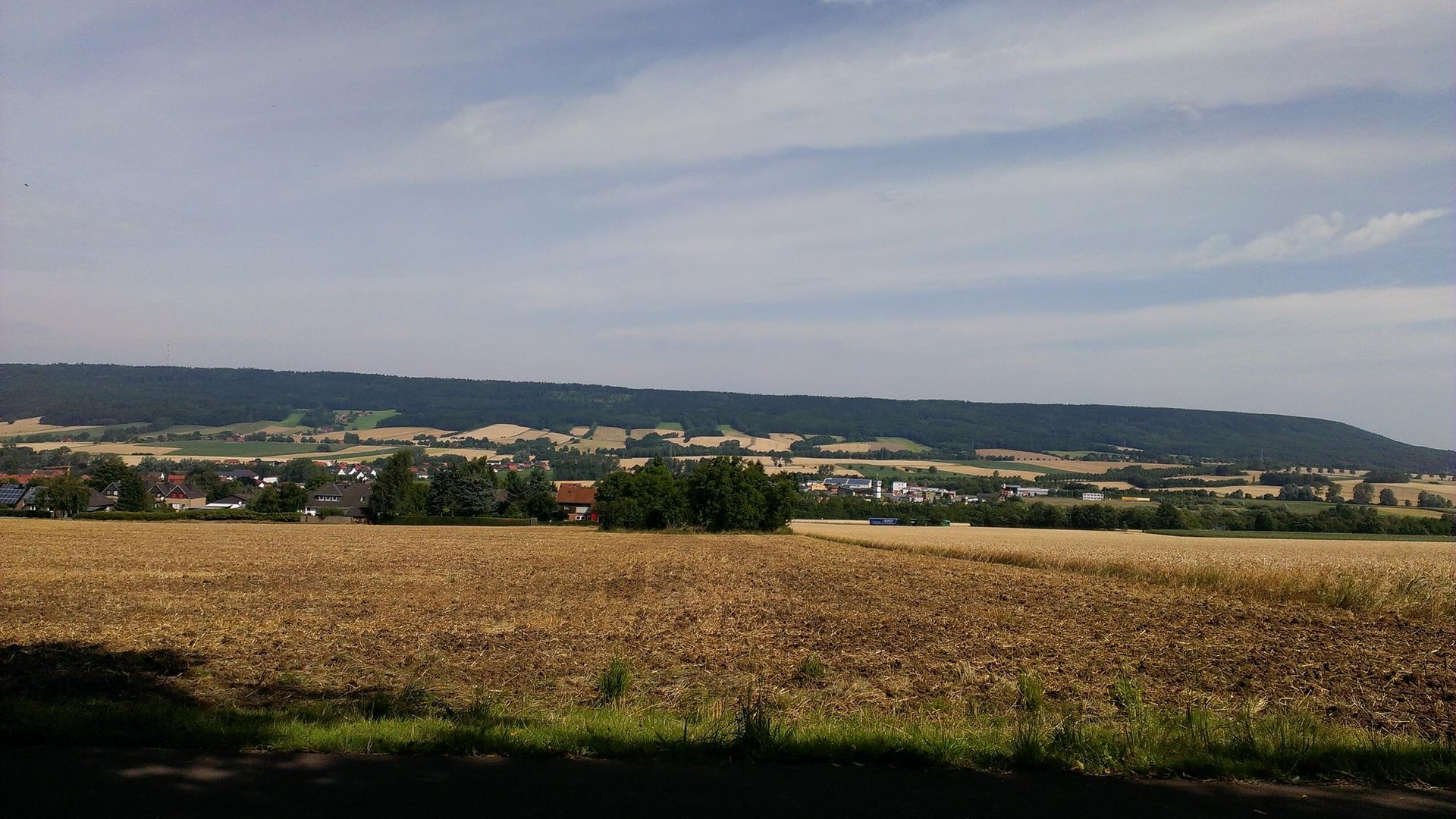 Blick über gelbe Felder, Auetal