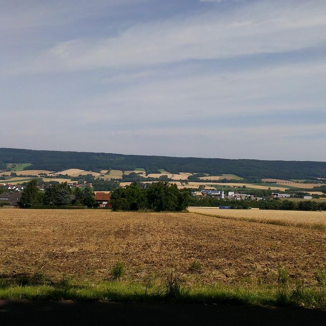 Blick über gelbe Felder, Auetal