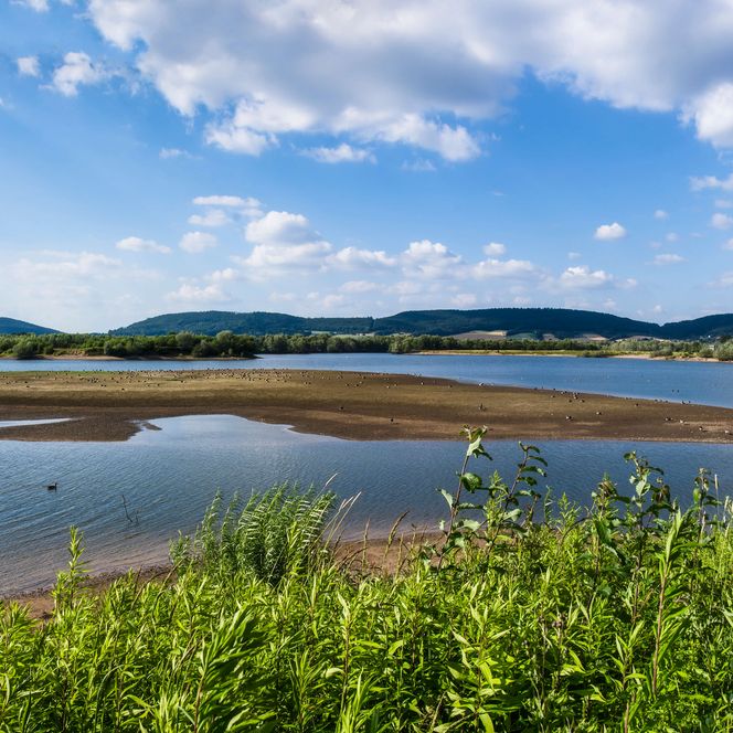 Auenlandschaft Hohenrode, Blick auf Sandbank in der Aue, Rinteln