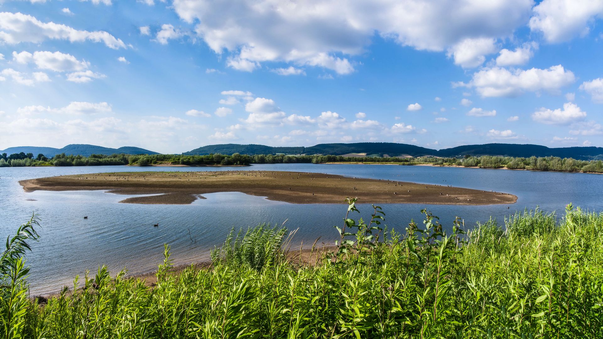 Auenlandschaft Hohenrode, Blick auf Sandbank in der Aue, Rinteln