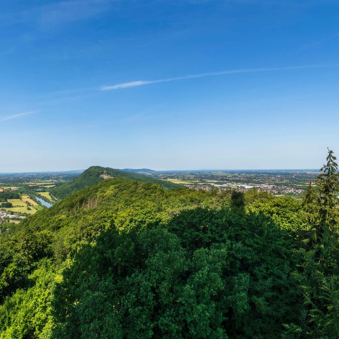 Fernsehturm Panoramablick über den Wald, Porta Westfalica
