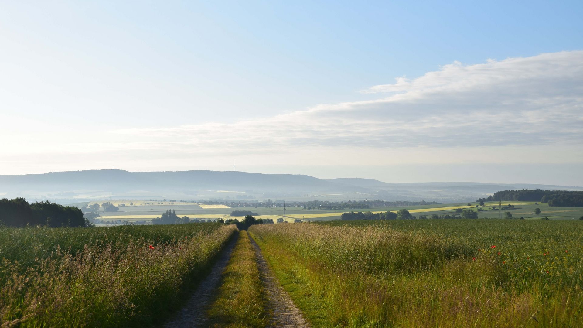 Morgennebel im Auetal mit Weitblick über die Felder