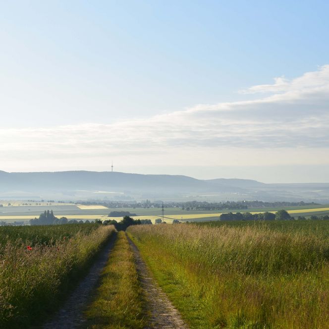 Morgennebel im Auetal mit Weitblick über die Felder
