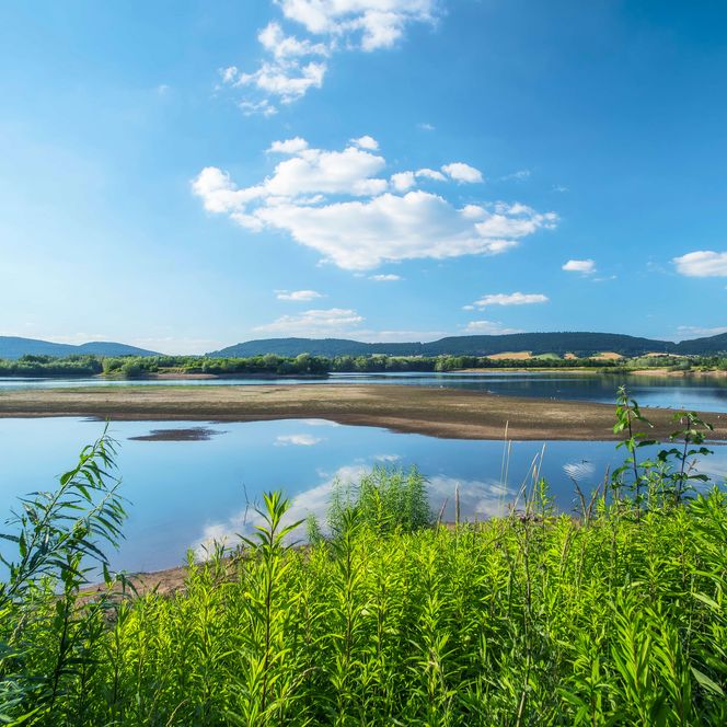 Auenlandschaft Hohenrode, Rinteln