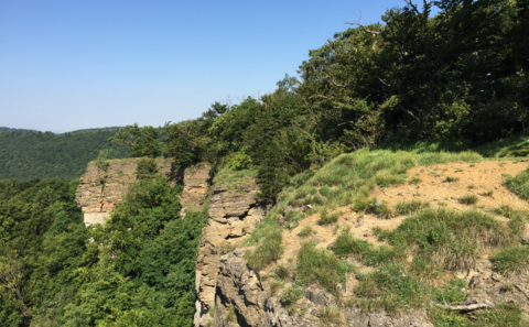 Hessisch Oldendorf Klippen am Hohenstein
