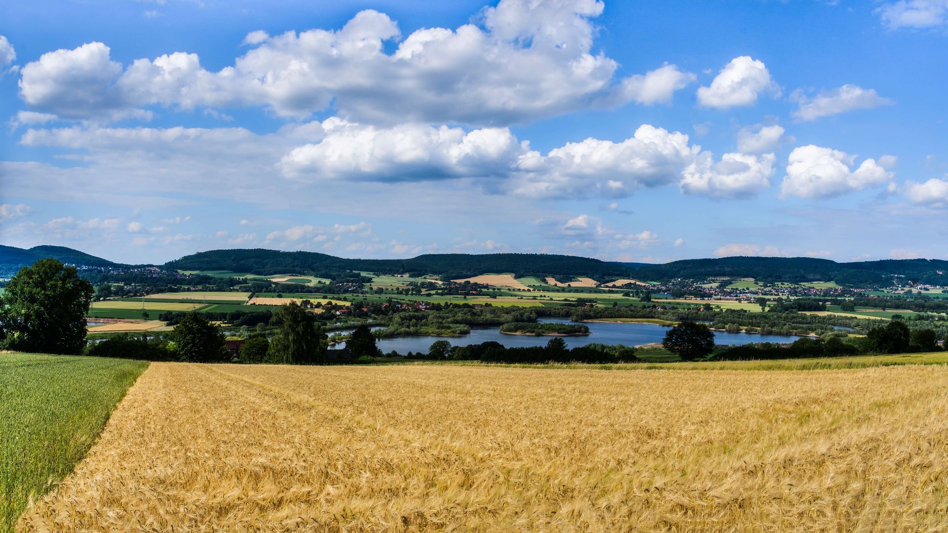 Felder auf der Großen Heide, Strücken, Rinteln