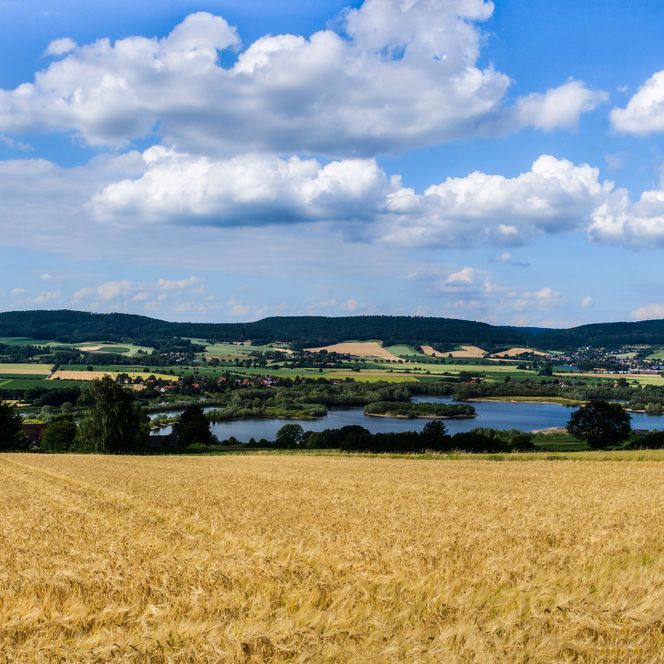 Felder auf der Großen Heide, Strücken, Rinteln