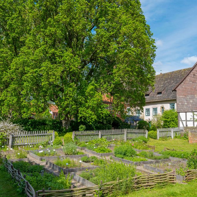 Stift Fischbeck - Kräutergarten, Hessisch Oldendorf