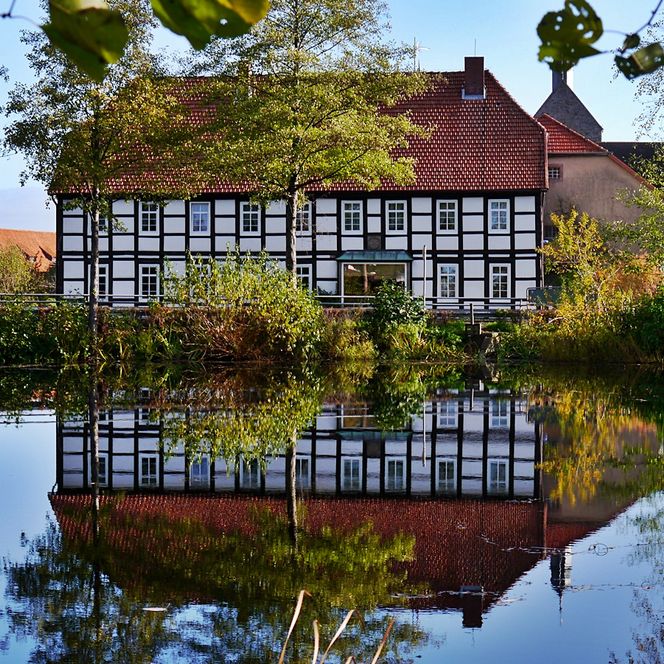 Dorfteich Fachwerkhaus spiegelt sich im Wasser, Emmerthal