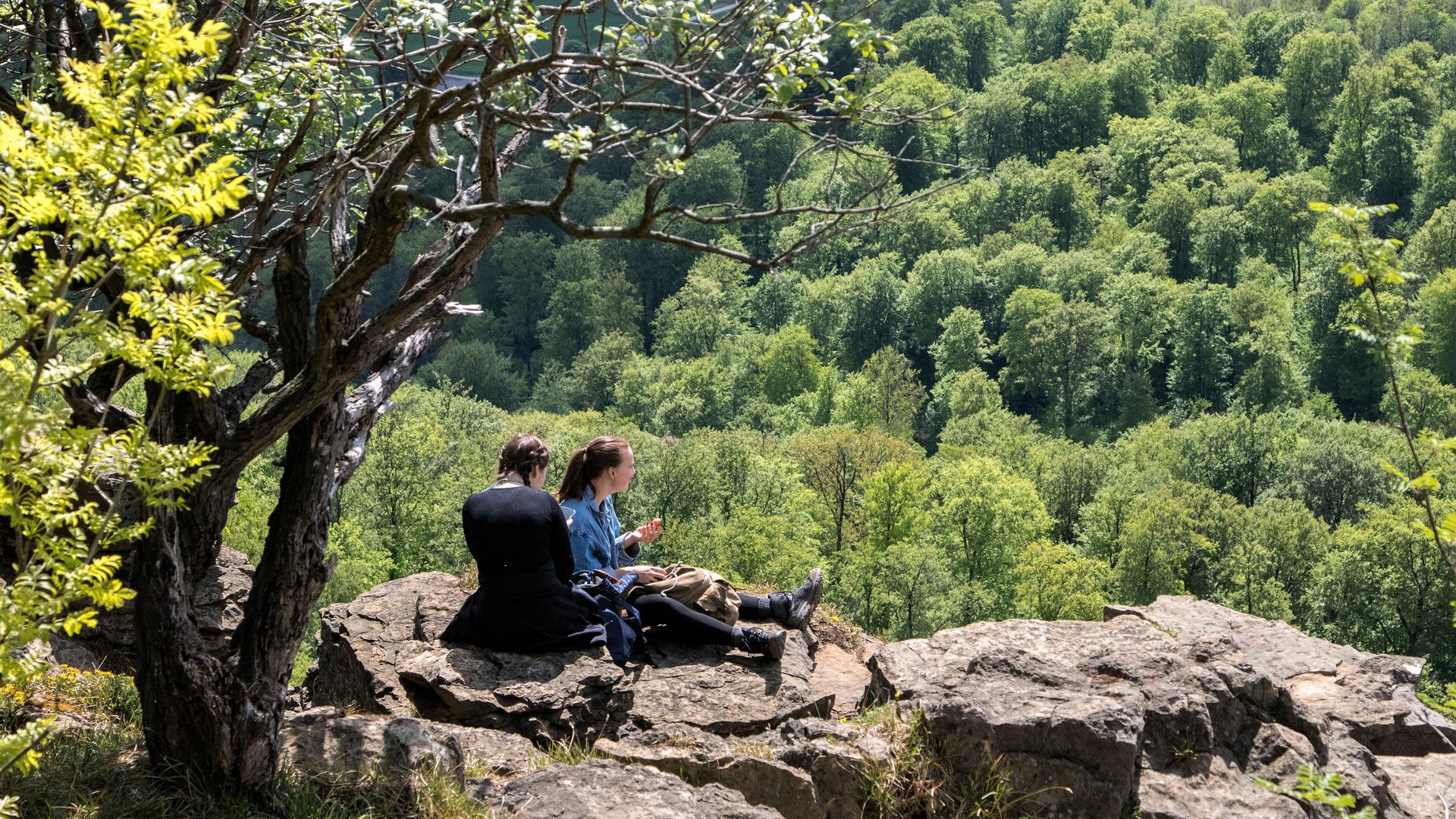 Paar sitzend am Hohenstein mit Blick Richtung Wald, Hessisch Oldendorf