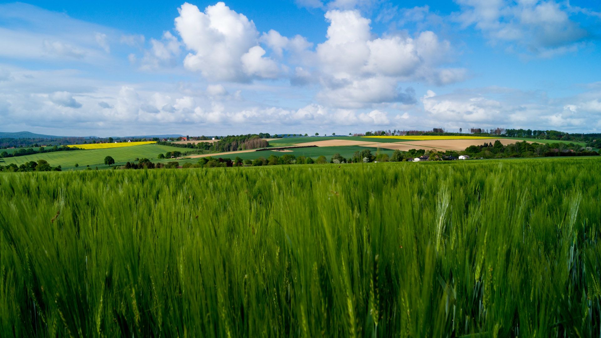 Etappe2 - Felder entlang des Weges, Hessisch Oldendorf