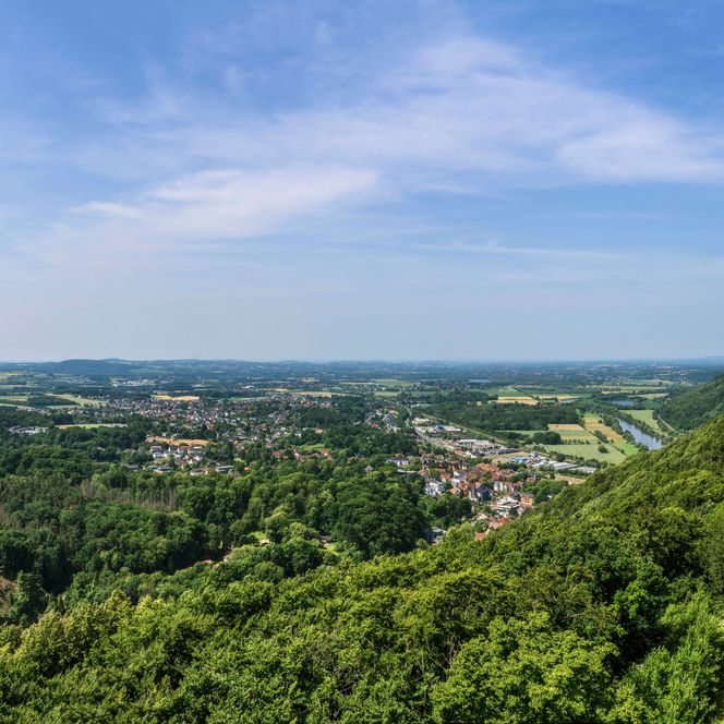 Fernsehturm Panoramablick über den Wald, Porta Westfalica