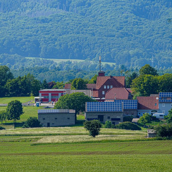 Blick auf Hattendorf mit Wald im Hintergrund, Auetal