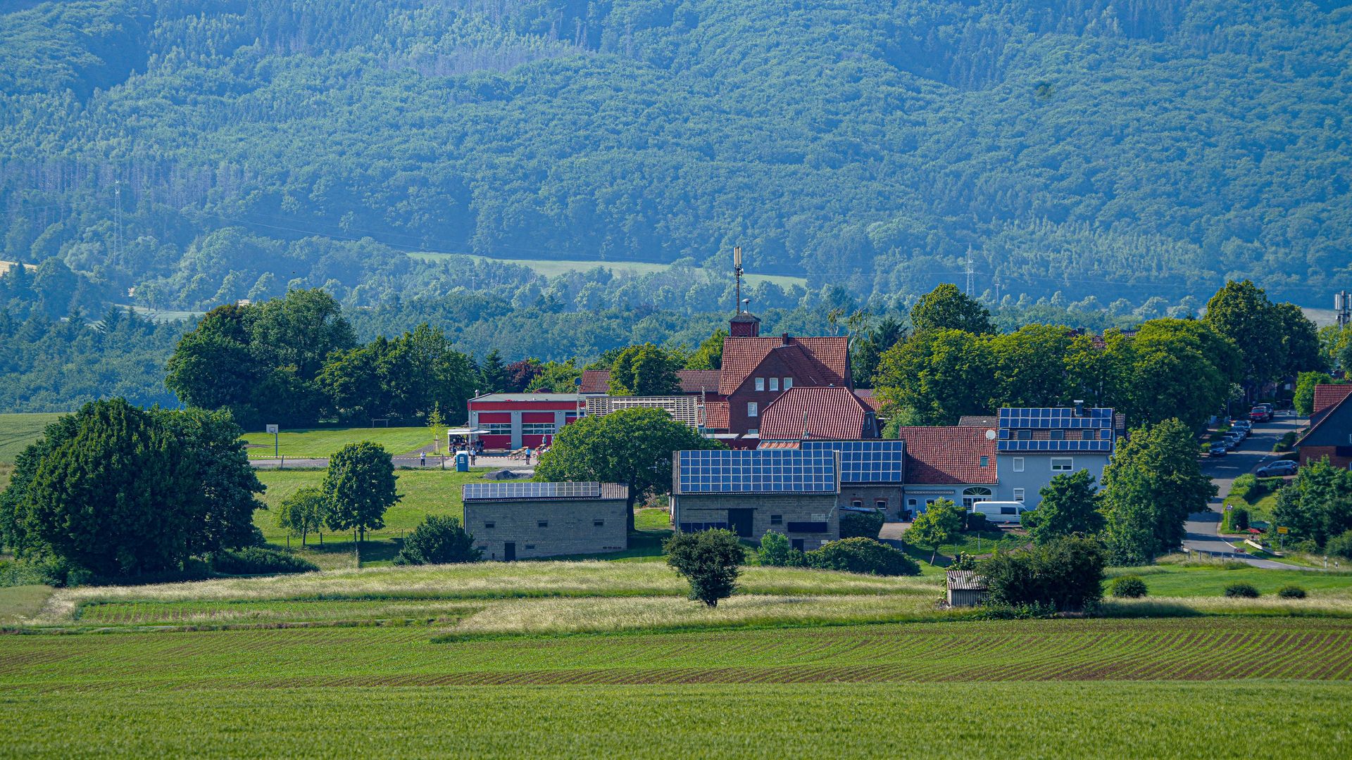 Blick auf Hattendorf mit Wald im Hintergrund, Auetal