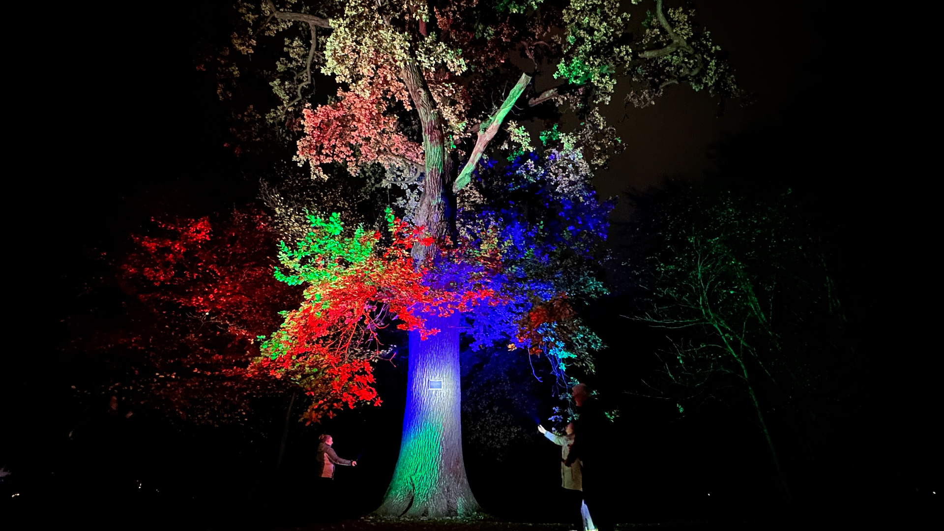 Stadtführung mit der Taschenlampe in Rinteln an der Friedenseiche im Blumenwall
